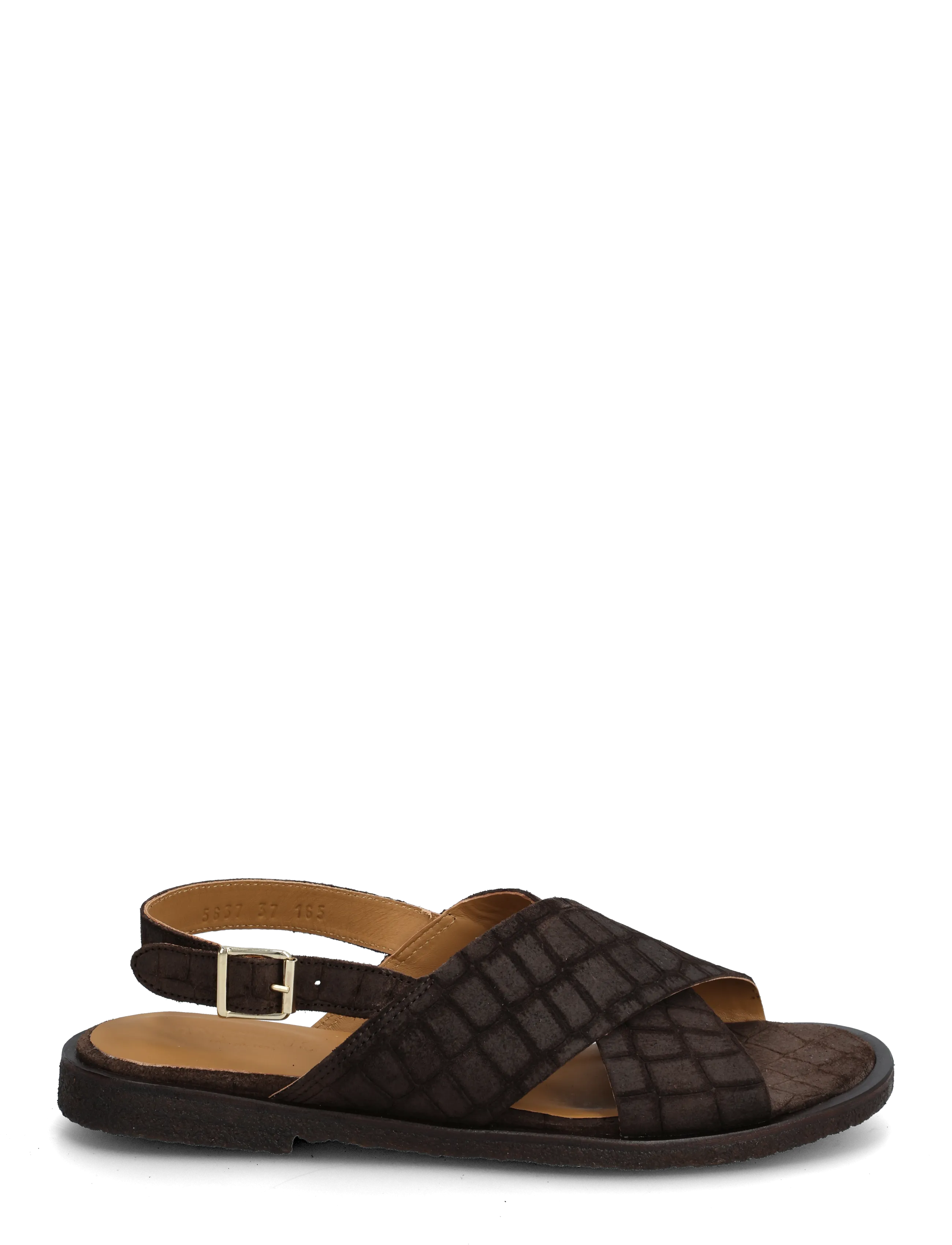 ANGULUS - Sandals - flat  - open toe - op - platta sandaler - 4640 dark brown croco - 1