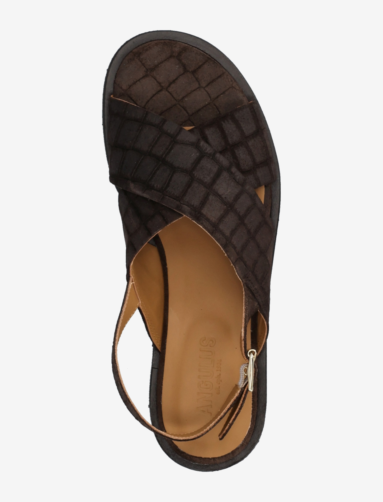 ANGULUS - Sandals - flat  - open toe - op - flade sandaler - 4640 dark brown croco - 3