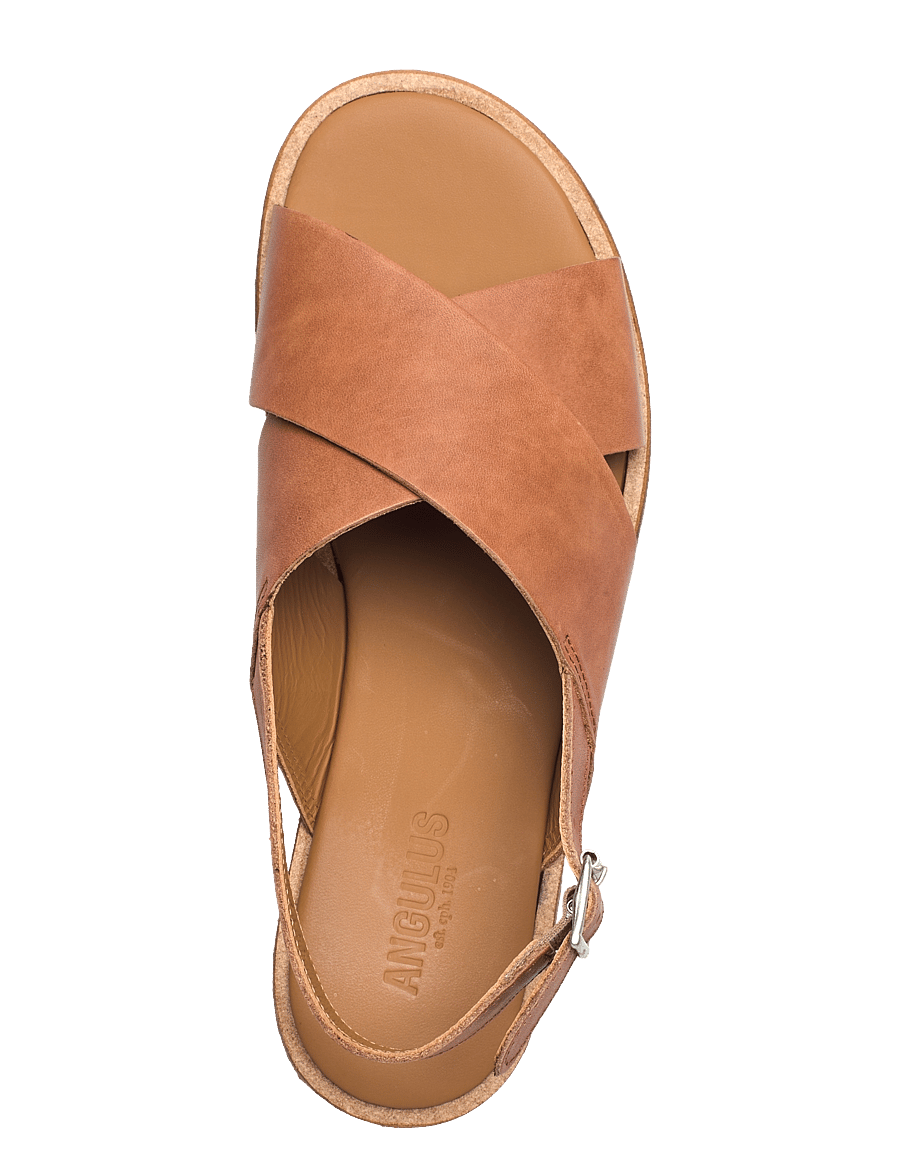 ANGULUS - Sandals - flat - open toe - op - 1789 tan - 3