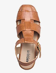 ANGULUS - Sandals - flat - flat sandals - 1789 tan - 3