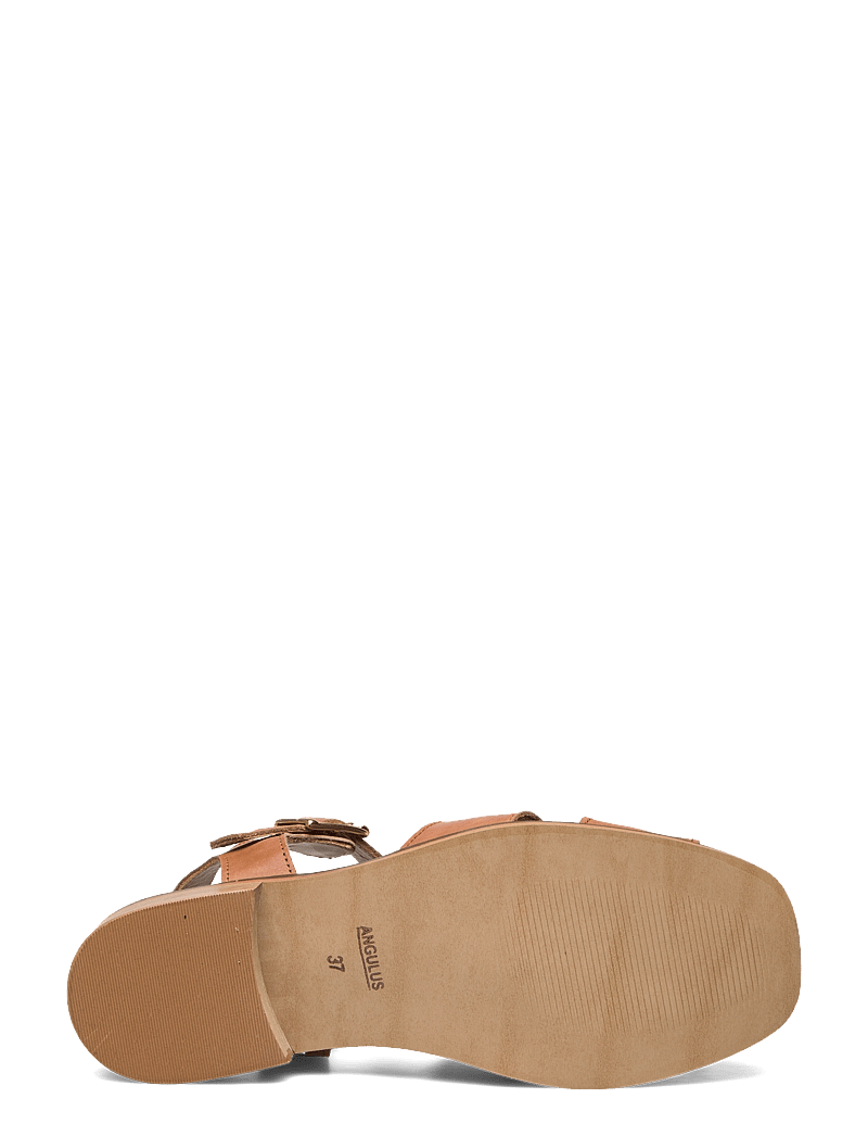 ANGULUS - Sandals - flat - flache sandalen - 1789 tan - 4