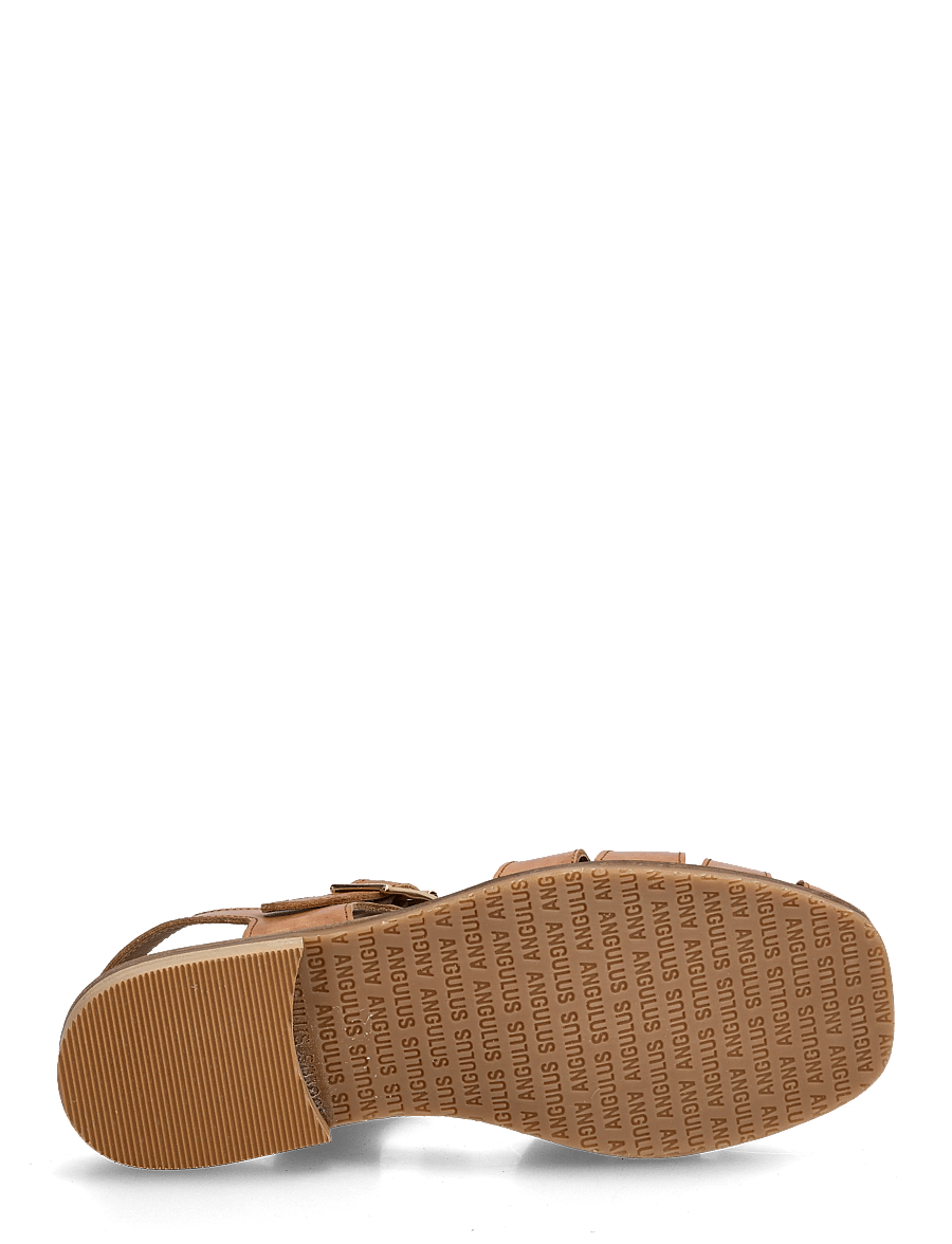 ANGULUS - Sandals - flat - closed toe - op - gladiaator sandaalid - 1789 tan - 4