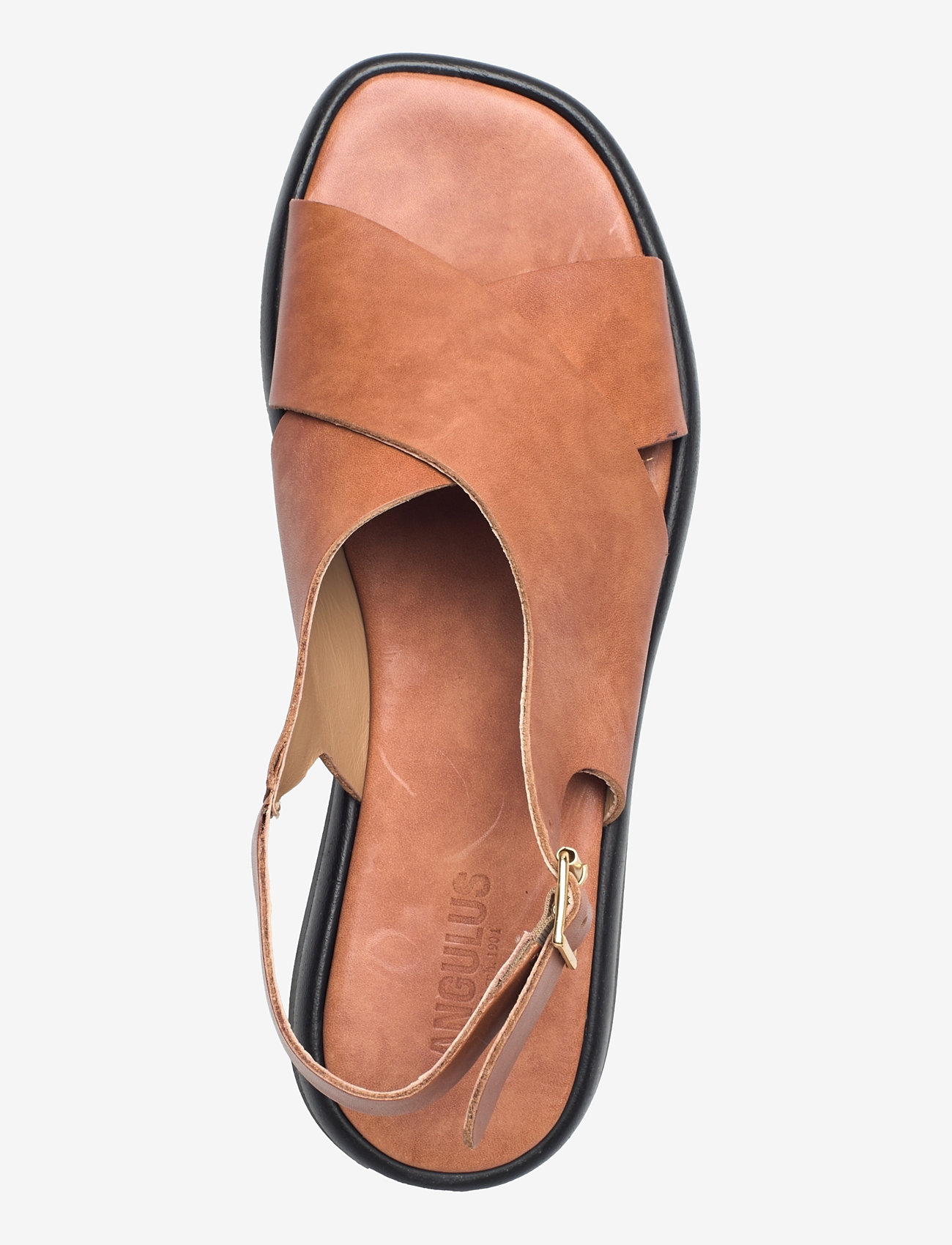 ANGULUS - Sandals - flat - flade sandaler - 3637 tan - 3