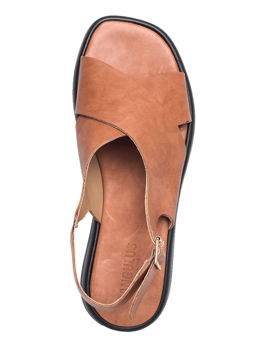 ANGULUS - Sandals - flat - platta sandaler - 3637 tan - 3
