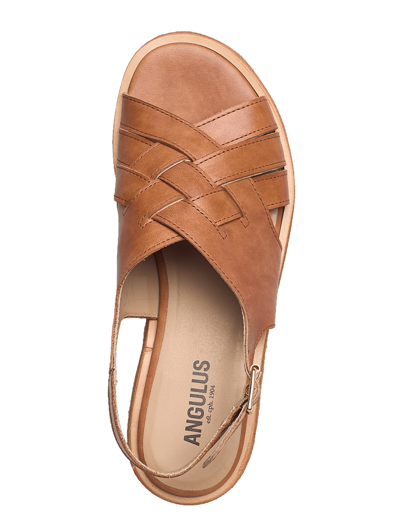 ANGULUS - Sandals - flat - open toe - op - kontsata sandaalid - 1789 tan - 3