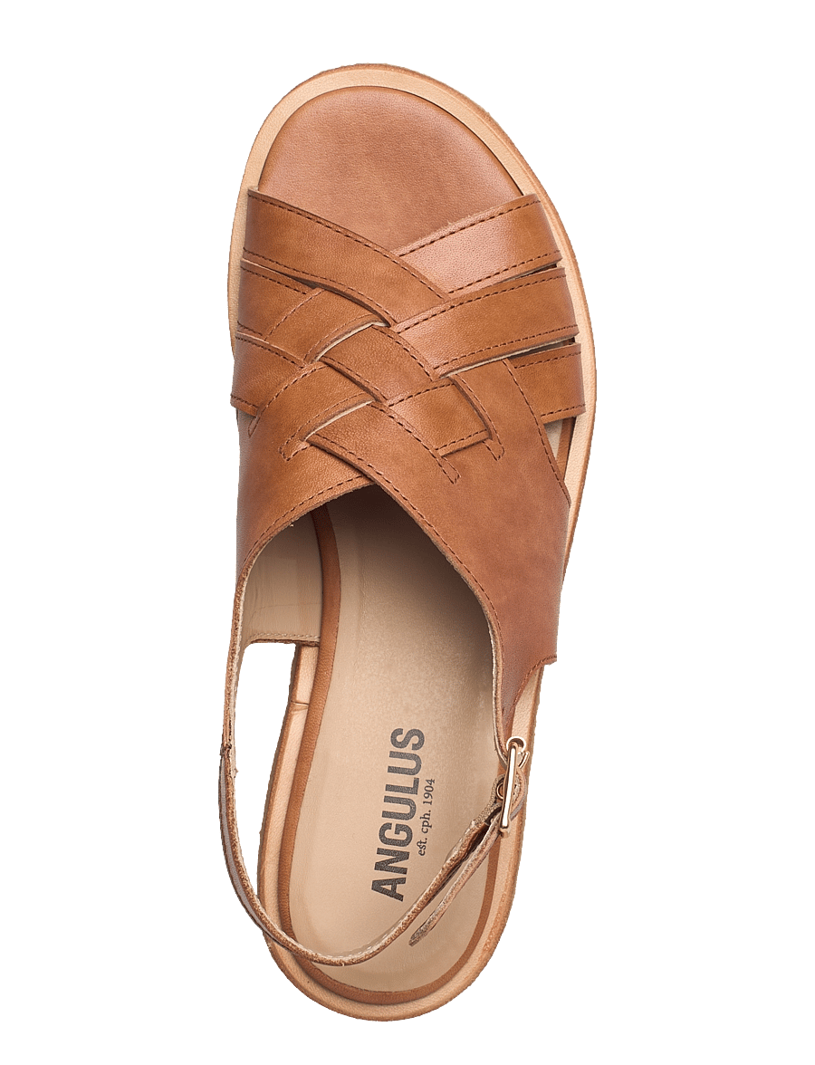 ANGULUS - Sandals - flat - open toe - op - 1789 tan - 3