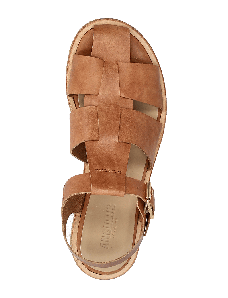 ANGULUS - Sandals - flat - closed toe - op - flat sandals - 3637 tan - 3
