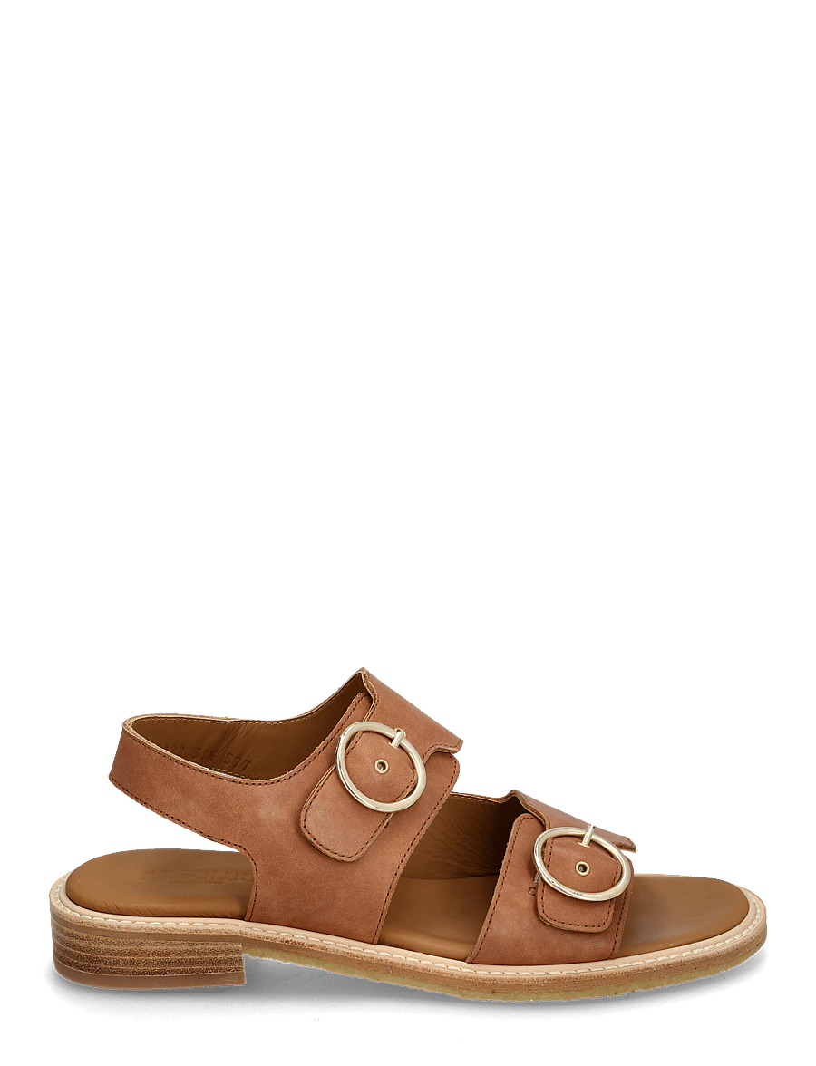 ANGULUS - Sandals - flat - open toe - op - lygiapadės basutės - 1789 tan - 1