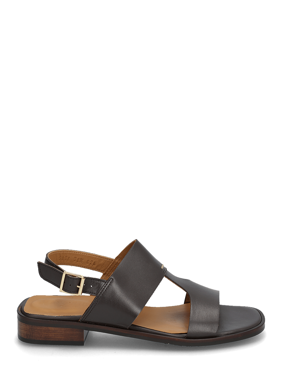 ANGULUS - Sandals - flat - flade sandaler - 3639 dark brown - 1