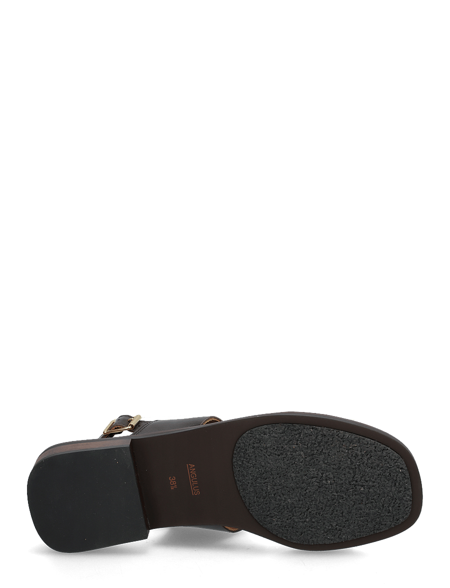 ANGULUS - Sandals - flat - flade sandaler - 3639 dark brown - 4