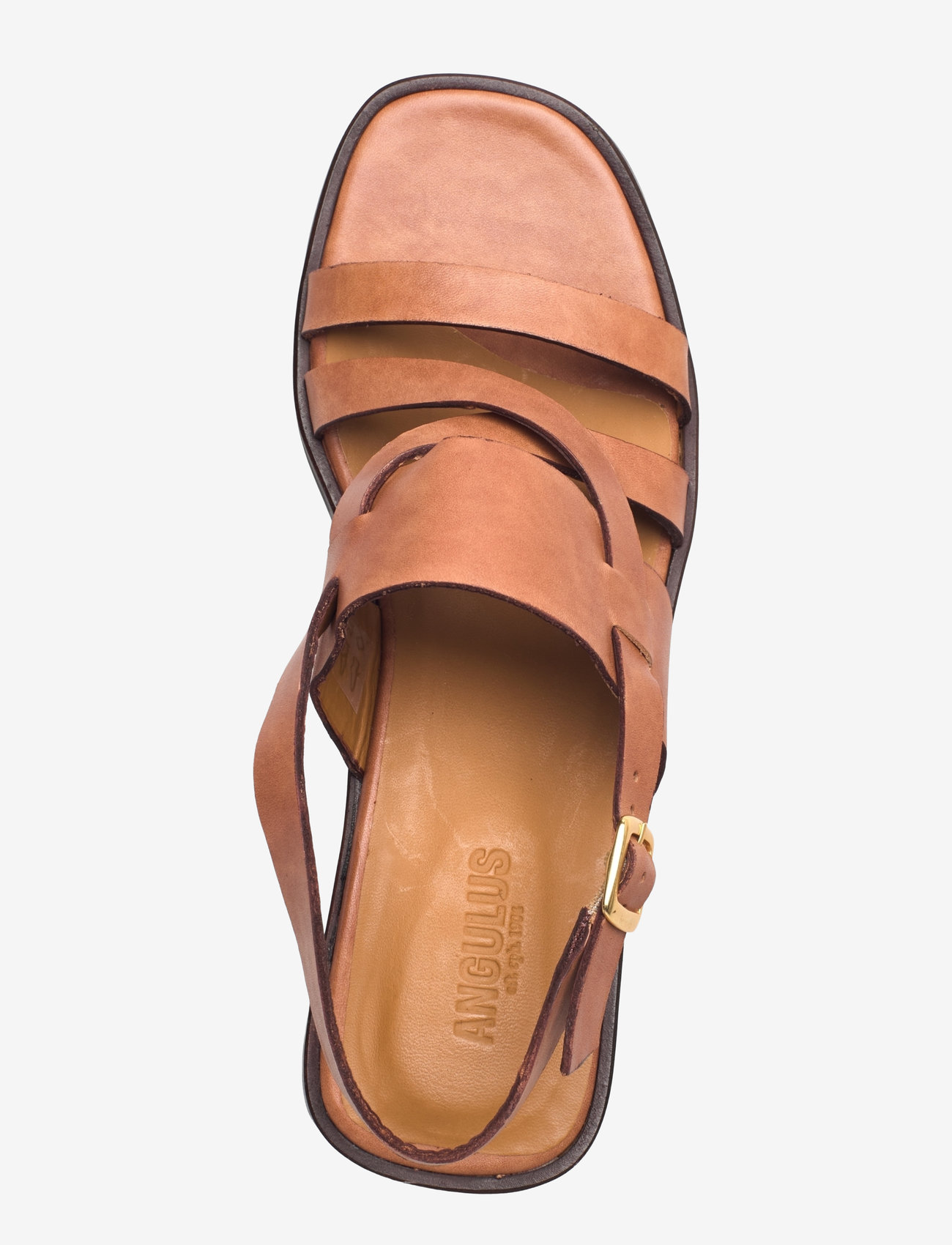 ANGULUS - Sandals - flat - kontsata sandaalid - 3637 tan - 3