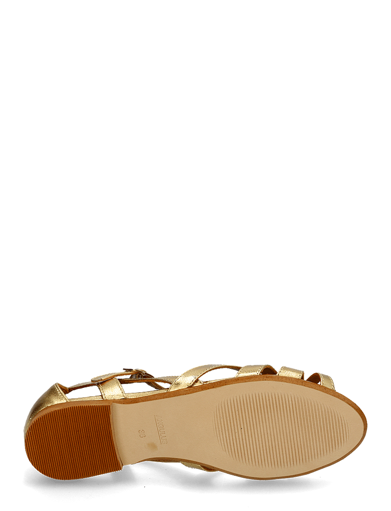 ANGULUS - Sandals - flat - flache sandalen - 3643 gold - 4