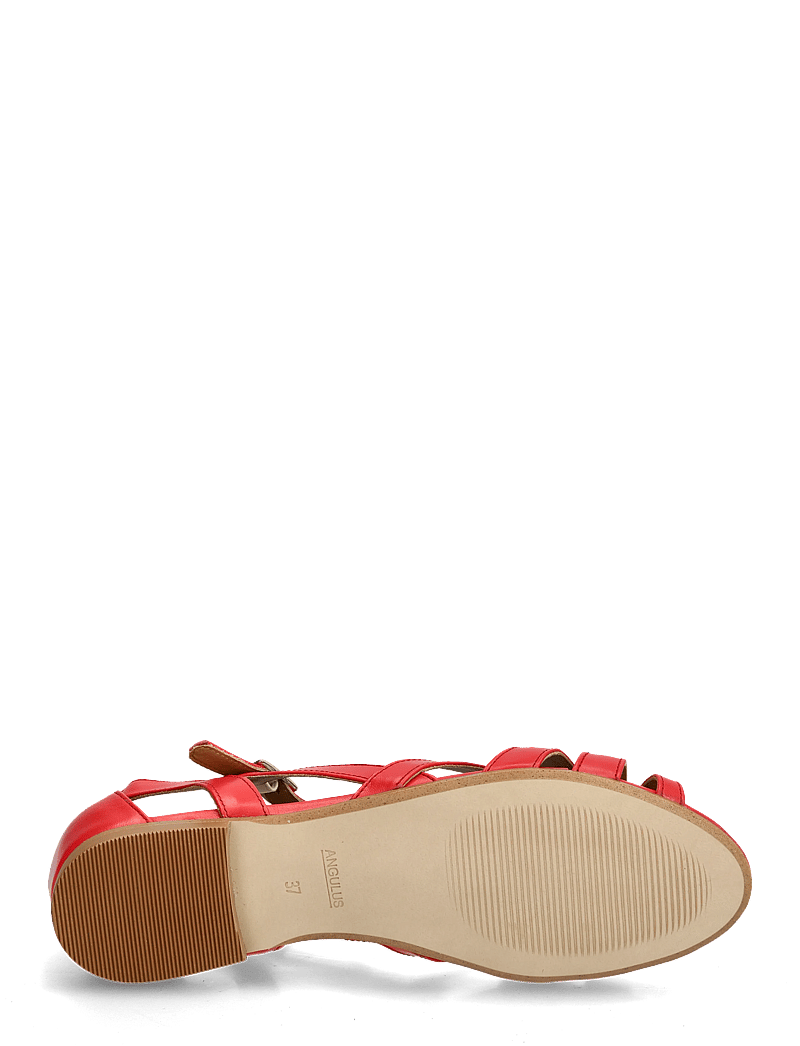 ANGULUS - Sandals - flat - flade sandaler - 4611 red coral - 4