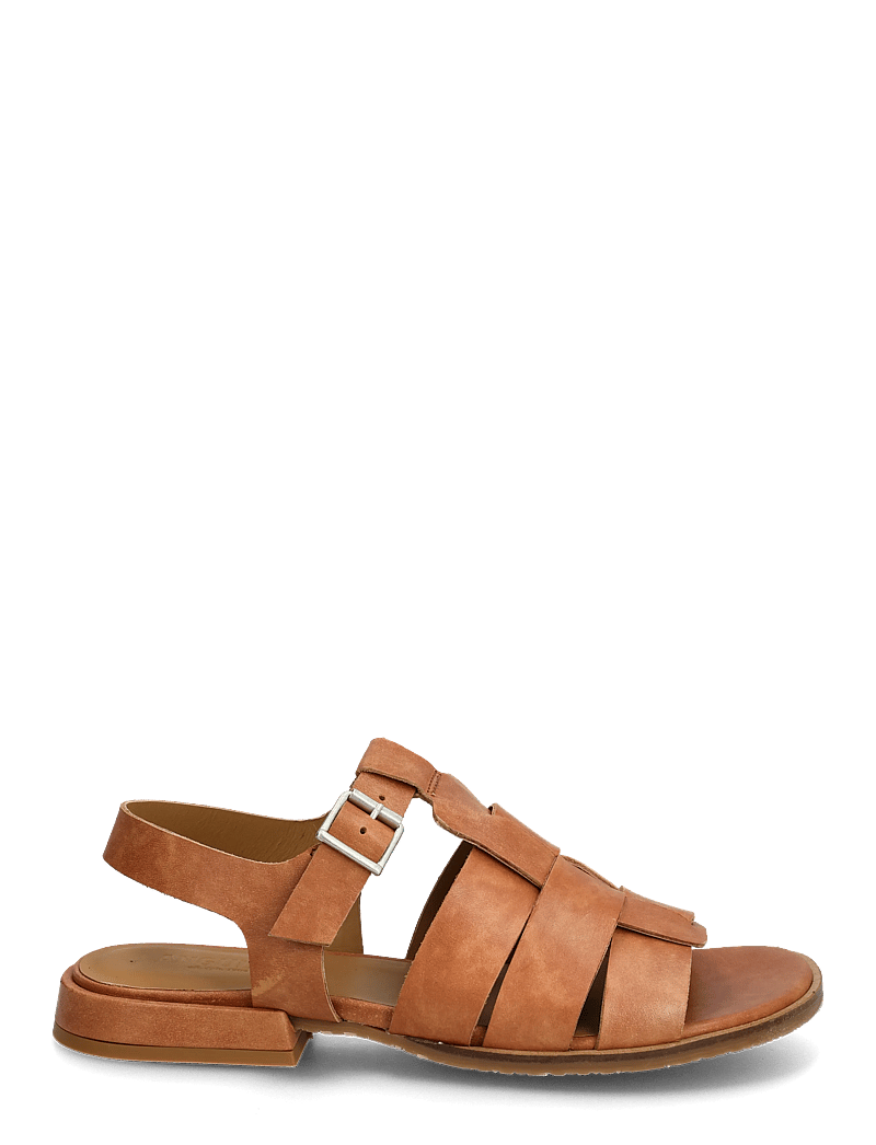 ANGULUS - Sandals - flat - open toe - op - gladiatorsandaler - 3637 tan - 1