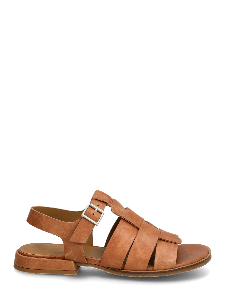 ANGULUS - Sandals - flat - open toe - op - gladiator-sandalen - 3637 tan - 1
