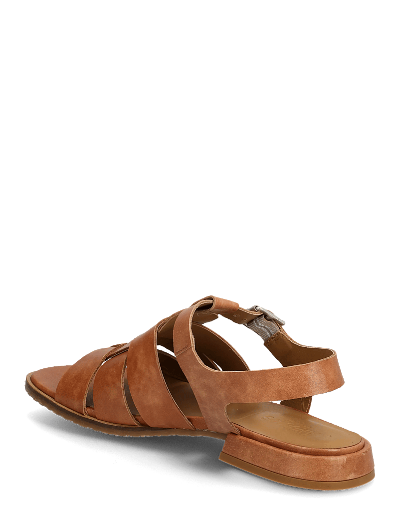 ANGULUS - Sandals - flat - open toe - op - gladiatorsandaler - 3637 tan - 2