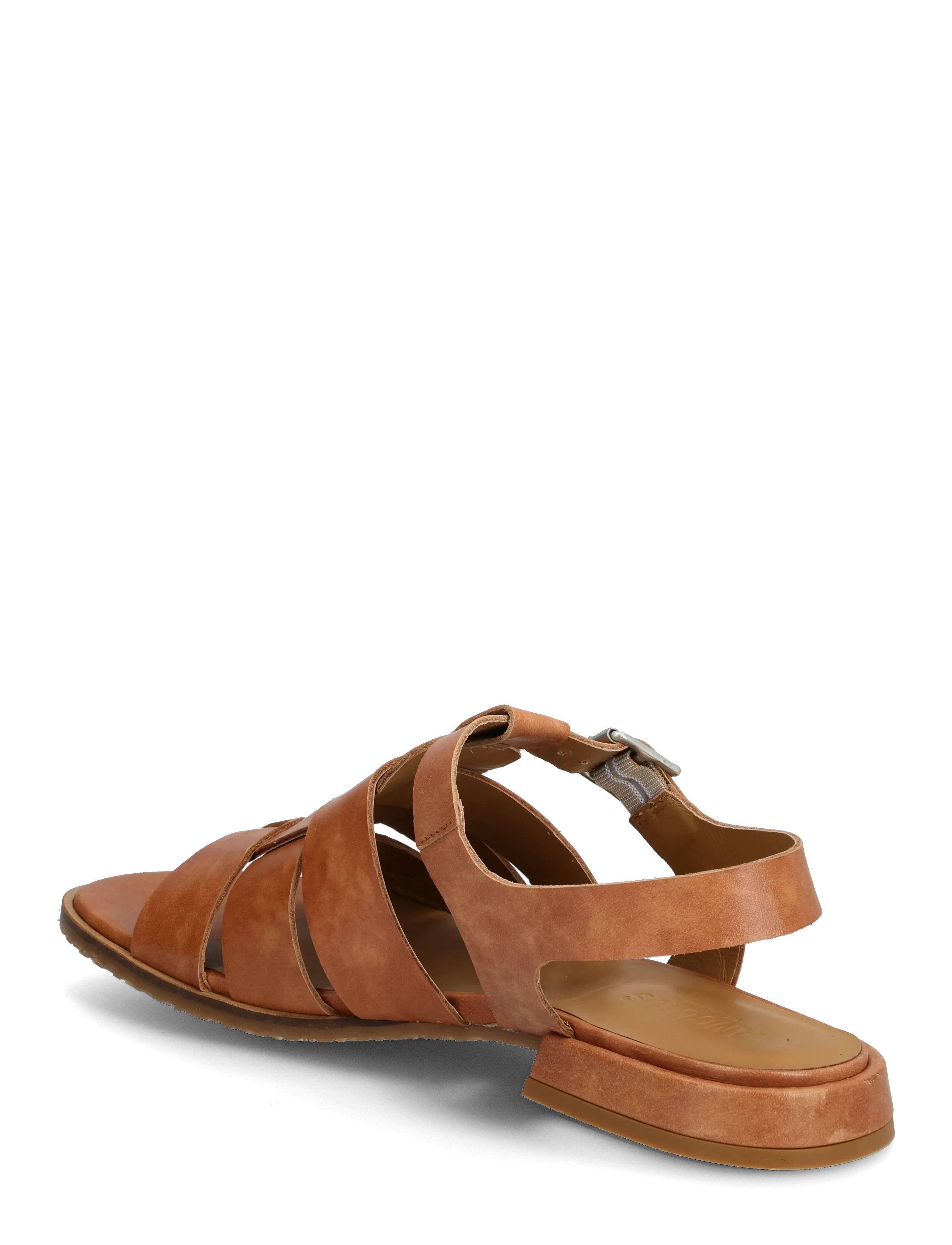 ANGULUS - Sandals - flat  - open toe - op - gladiator-sandalen - 3637 tan - 2