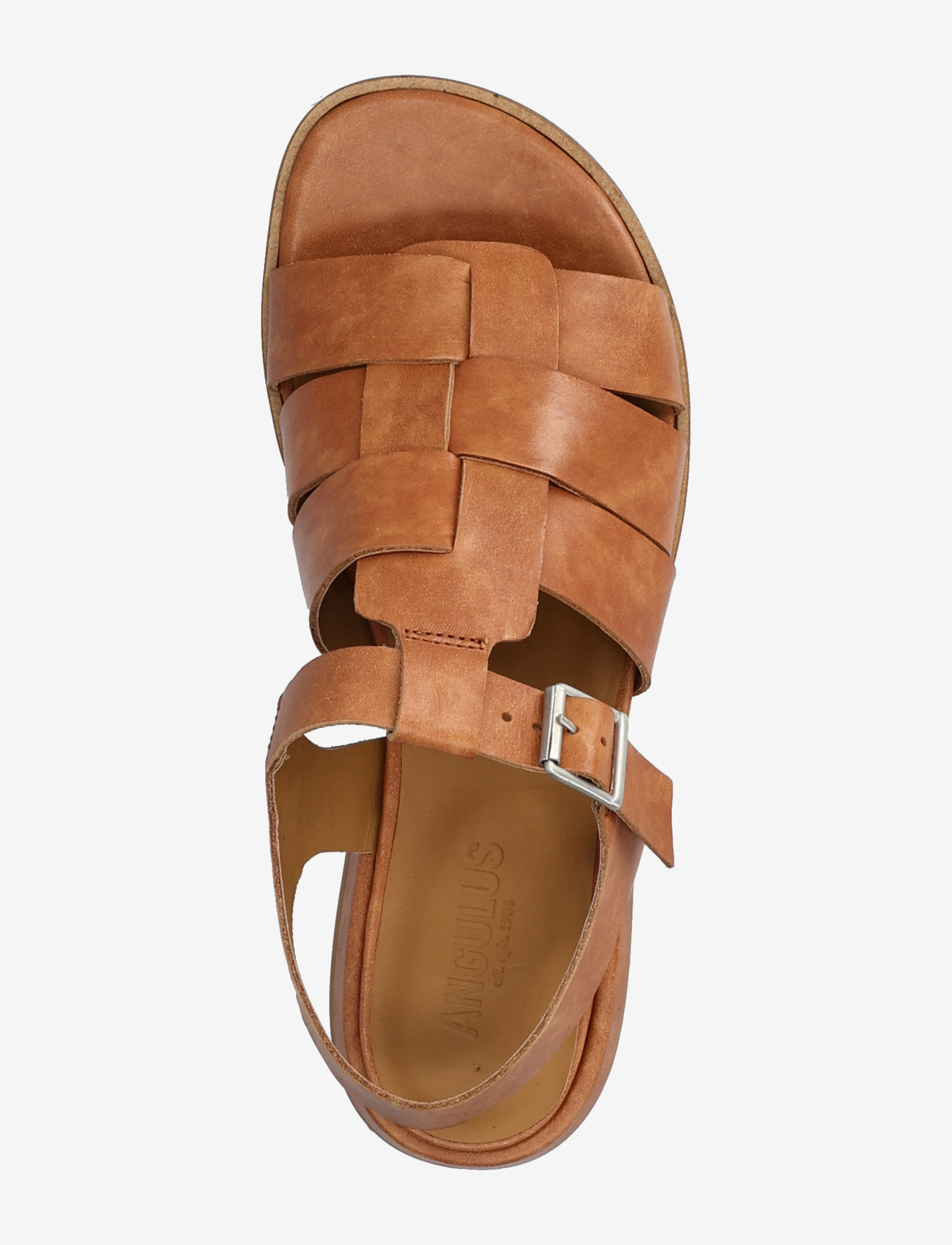 ANGULUS - Sandals - flat  - open toe - op - gladiatorsandaler - 3637 tan - 3