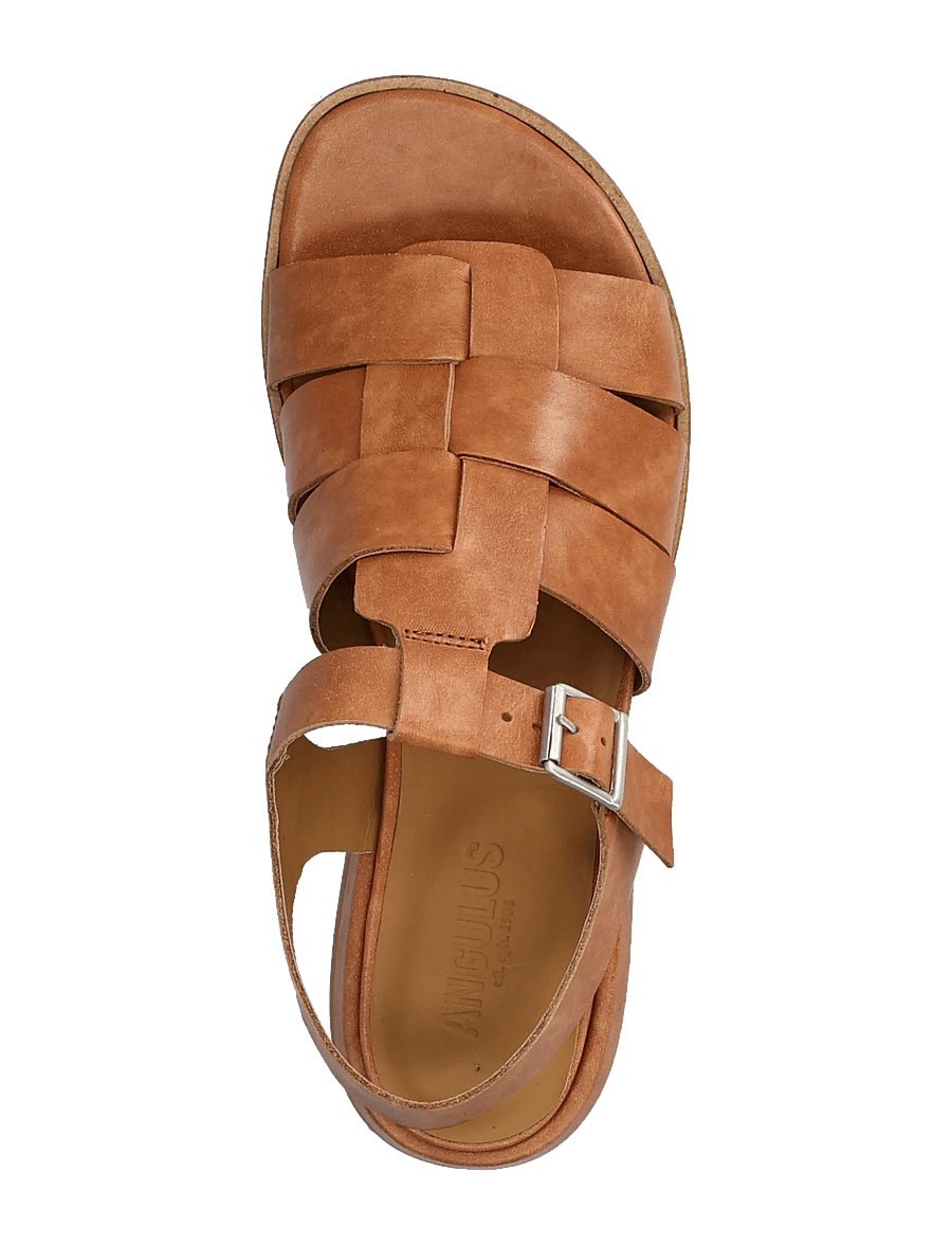 ANGULUS - Sandals - flat - open toe - op - gladiator-sandalen - 3637 tan - 3