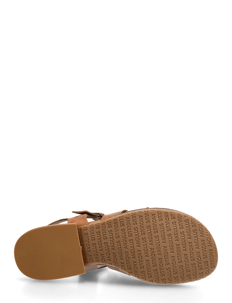ANGULUS - Sandals - flat - open toe - op - gladiatorsandaler - 3637 tan - 4