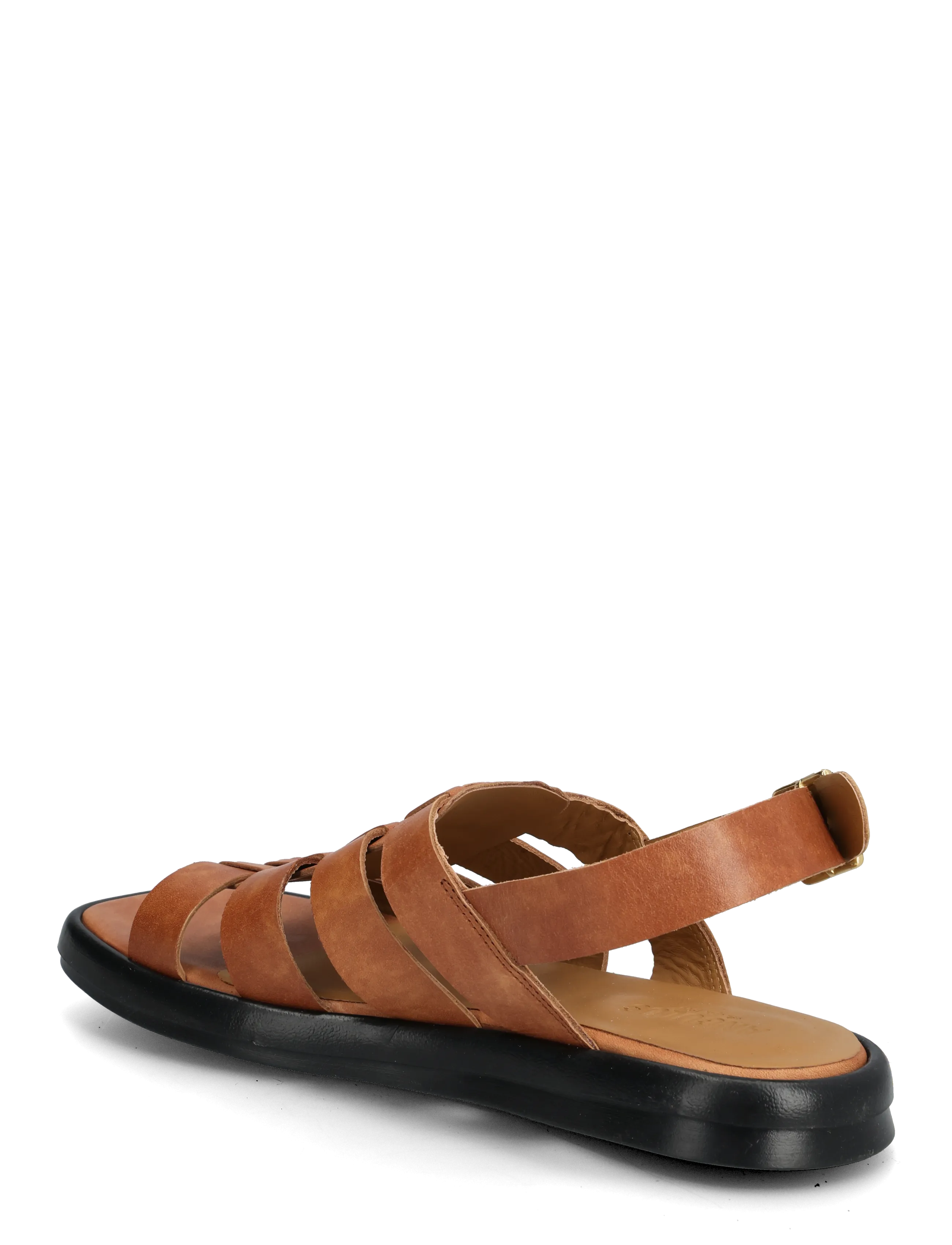 ANGULUS - Sandals - flat - gladiator sandals - 3637 tan - 2