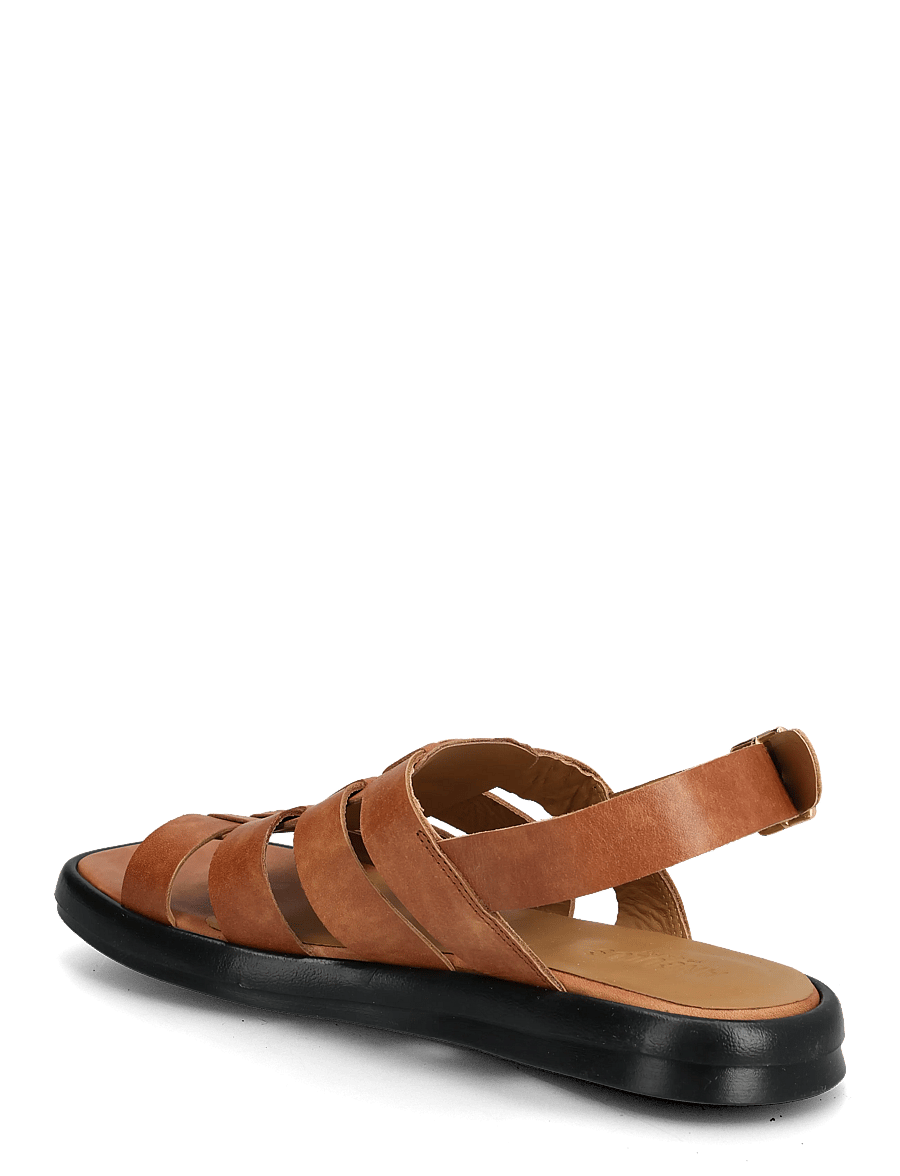 ANGULUS - Sandals - flat - gladiator sandals - 3637 tan - 2