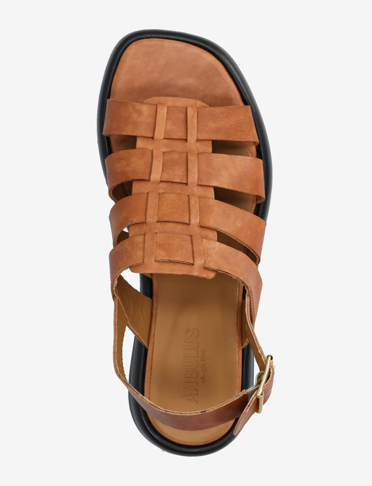 ANGULUS - Sandals - flat - gladiatorsandaler - 3637 tan - 3