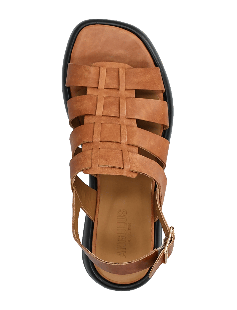 ANGULUS - Sandals - flat - gladiatorsandaler - 3637 tan - 3