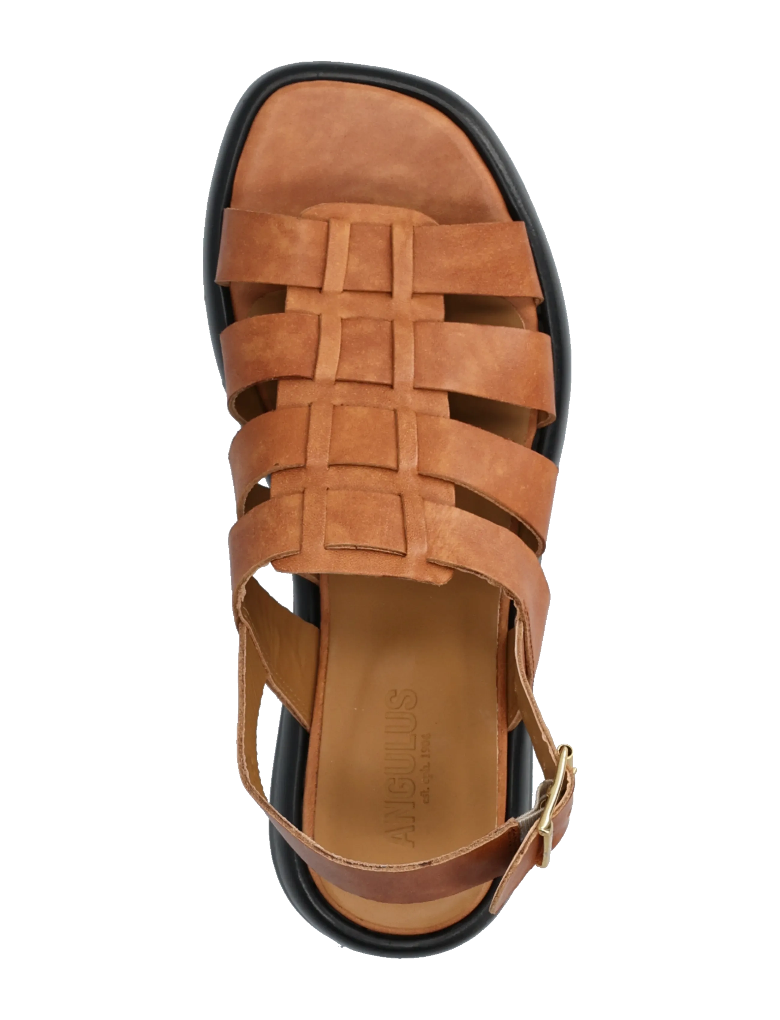 ANGULUS - Sandals - flat - gladiator sandals - 3637 tan - 3