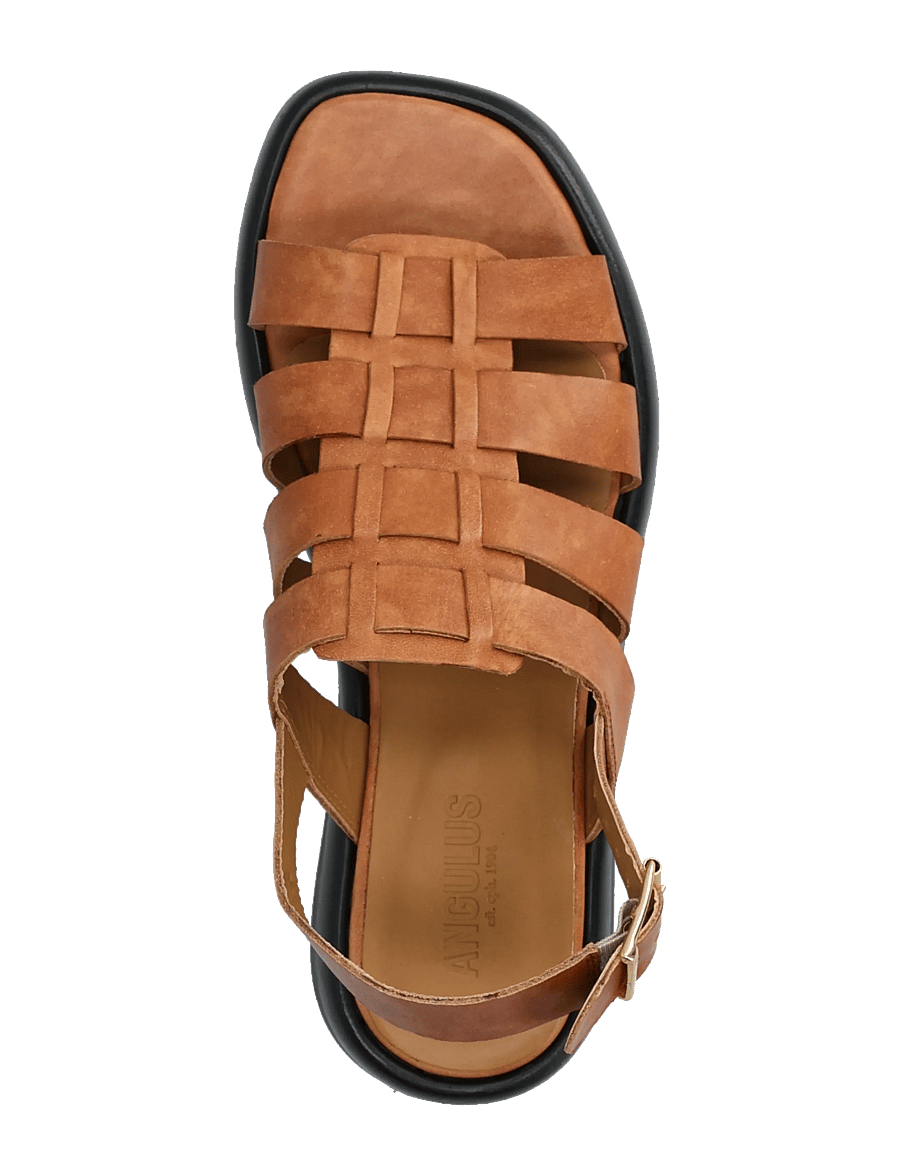 ANGULUS - Sandals - flat - gladiator sandals - 3637 tan - 3