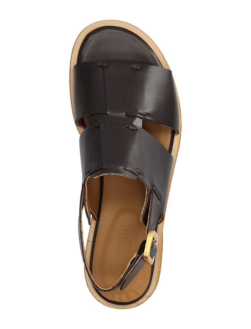 ANGULUS - Sandals - flat - flat sandals - 3639 dark brown - 3