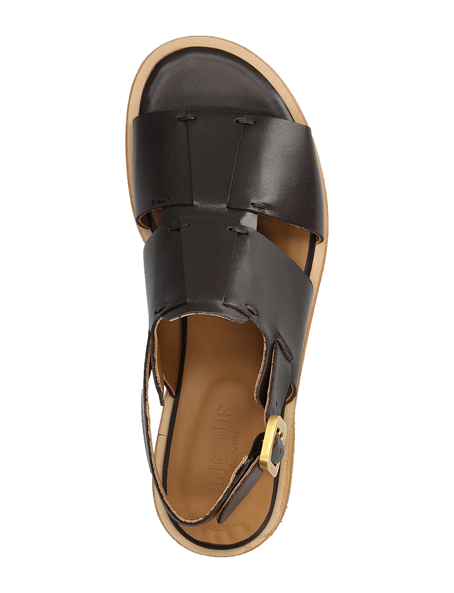 ANGULUS - Sandals - flat - lygiapadės basutės - 3639 dark brown - 3