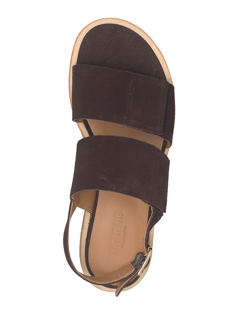 ANGULUS - Sandals - flat - open toe - op - flade sandaler - 2193 dark brown - 3