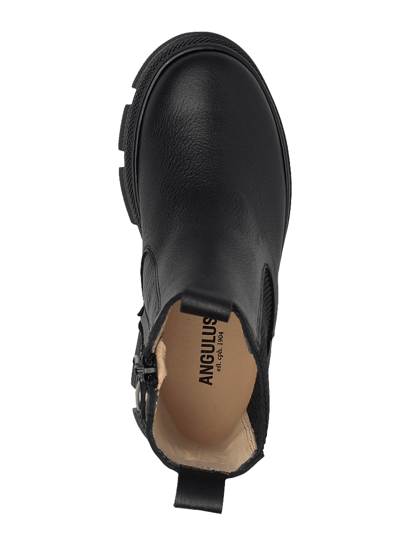 ANGULUS - Booties - flat - with elastic - kingad - 1933/019 black/black - 3