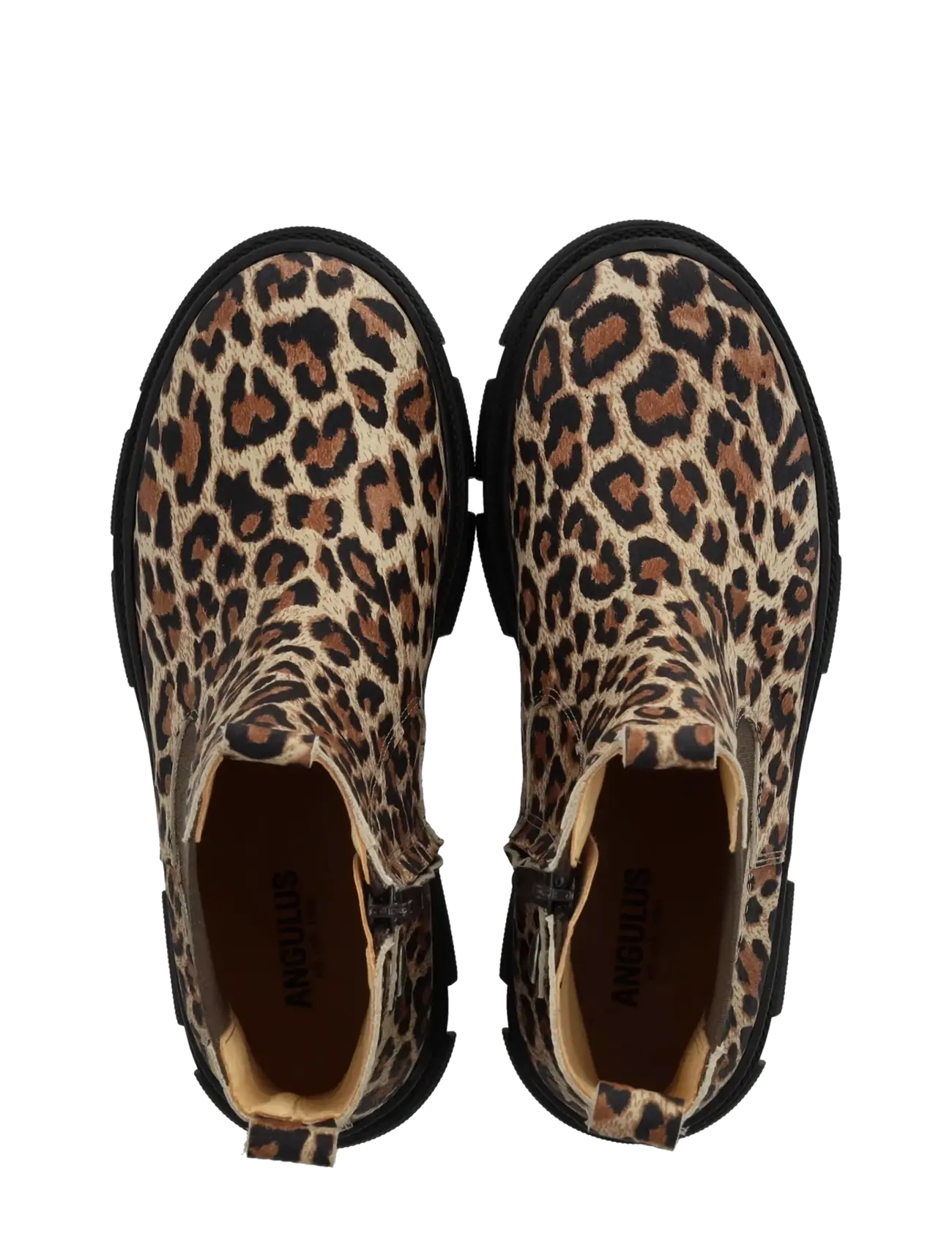 ANGULUS - Booties - flat - with elastic - kingad - 4020/003 beige leo/brown elast - 3