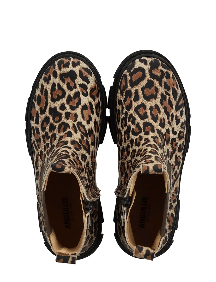 ANGULUS - Booties - flat - with elastic - kingad - 4020/003 beige leo/brown elast - 3