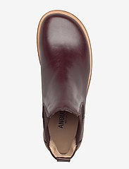 ANGULUS - Booties - flat - with elastic - chelsea boots - 1836/046 dark brown/d. brown - 3
