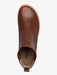 ANGULUS - Booties - flat - with elastic - chelsea boots - 2509/040 medium brown/ cognac - 3