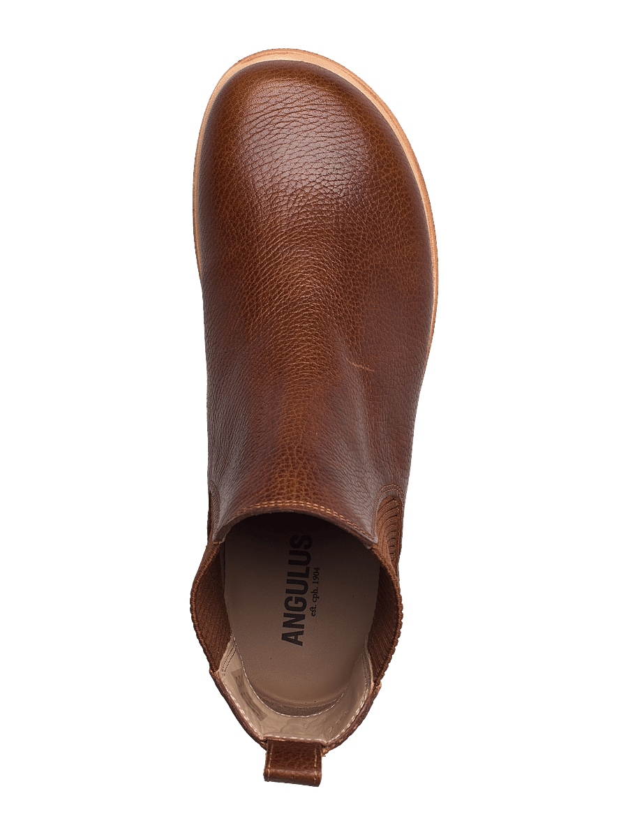 ANGULUS - Booties - flat - with elastic - bottes chelsea - 2509/040 medium brown/ cognac - 4