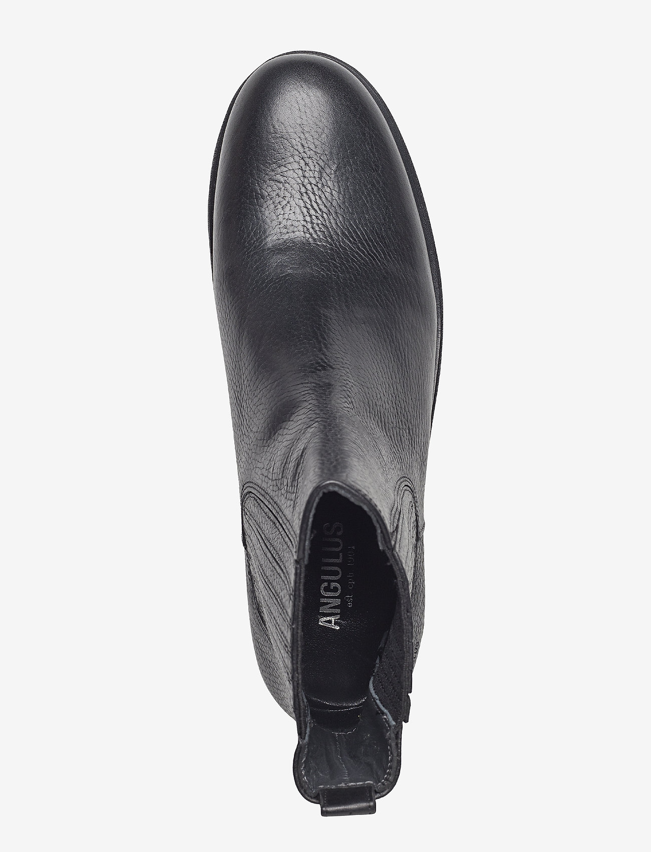 ANGULUS - Booties - flat - with elastic - 2504/019 black/black - 3