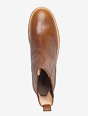 ANGULUS - Booties - flat - with elastic - chelsea boots - 2509/002 medium brown/medium b - 3