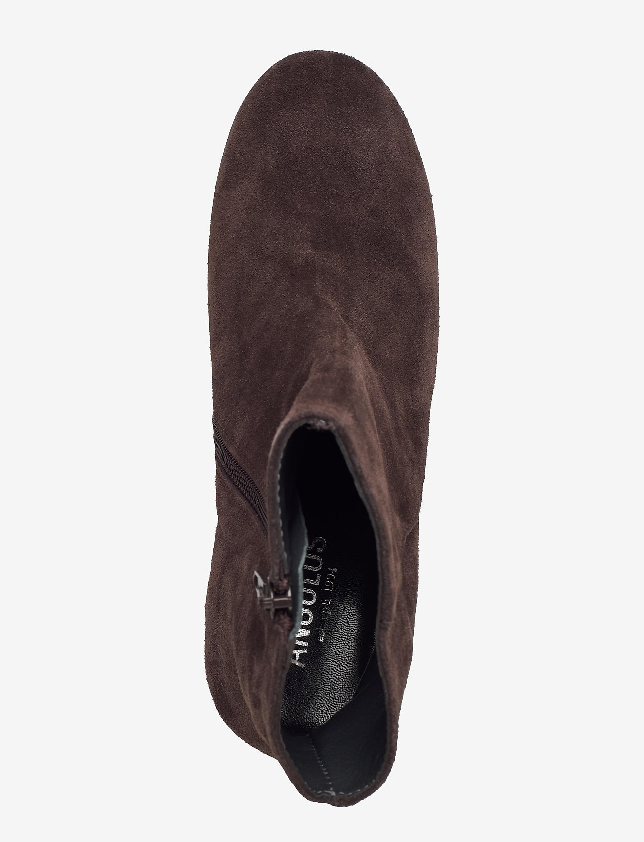 ANGULUS - Bootie - block heel - with zippe - 2193/2487 brown/copper glit - 3