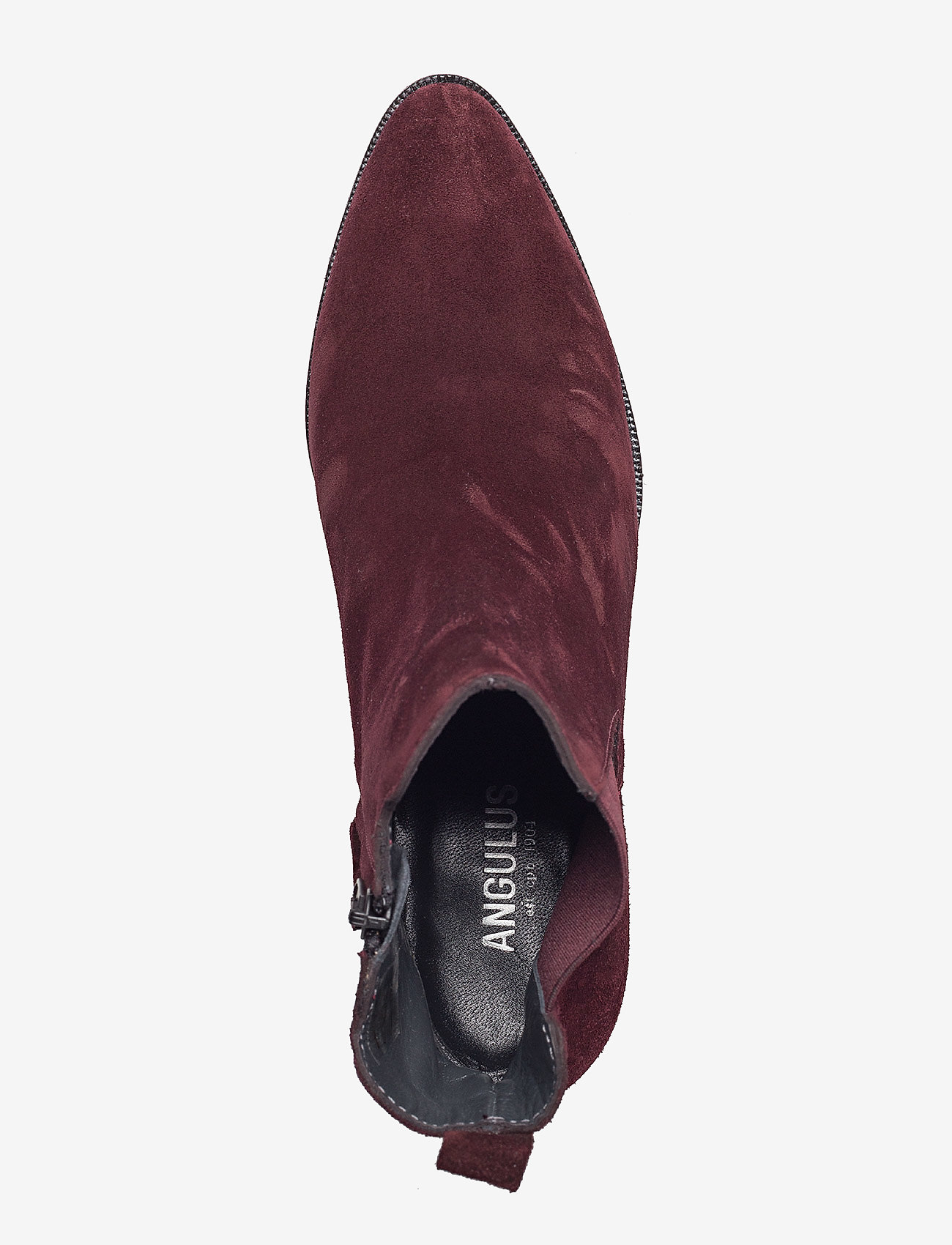 ANGULUS - Booties - Block heel - with elas - 2195/031 bordeaux - 3