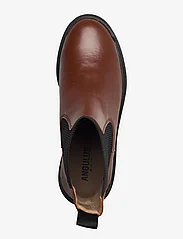 ANGULUS - Boots - flat - chelsea stila zābaki - 1705/019 terracotta/black - 3