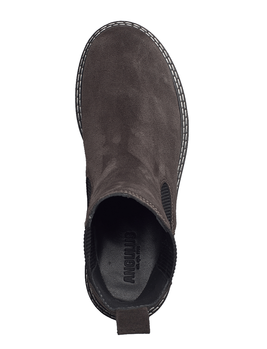 ANGULUS - Booties - flat - with elastic - boots - 1716/019 espresso/black - 3