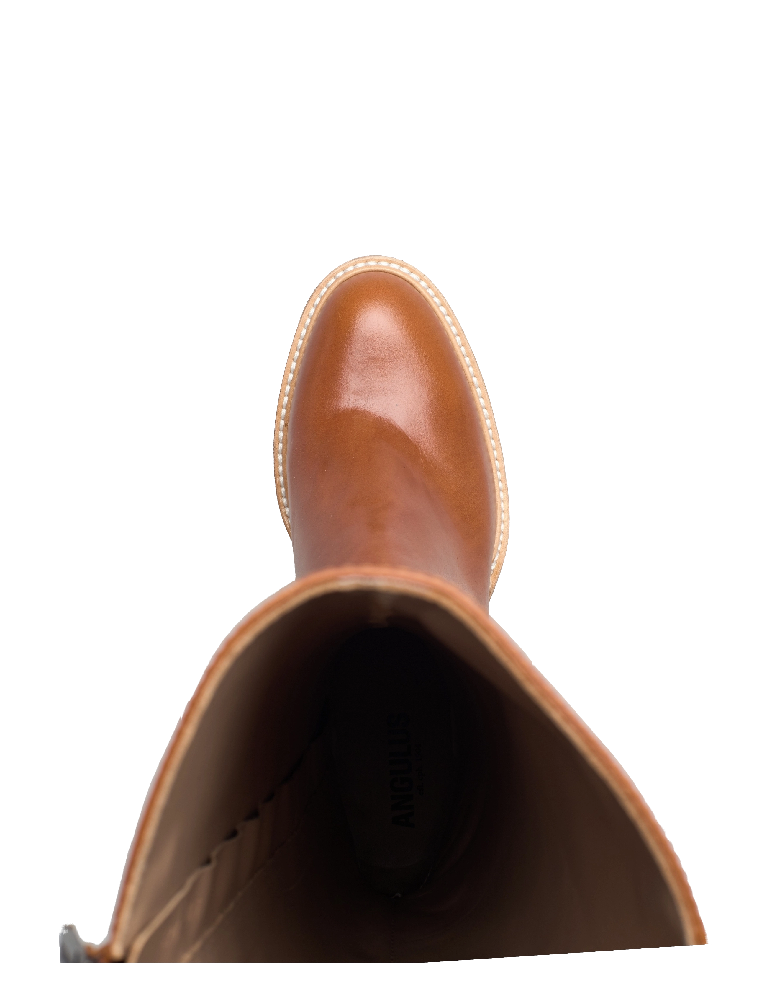 ANGULUS - Bootie - block heel - with zippe - 1838/036 cognac/cognac - 4