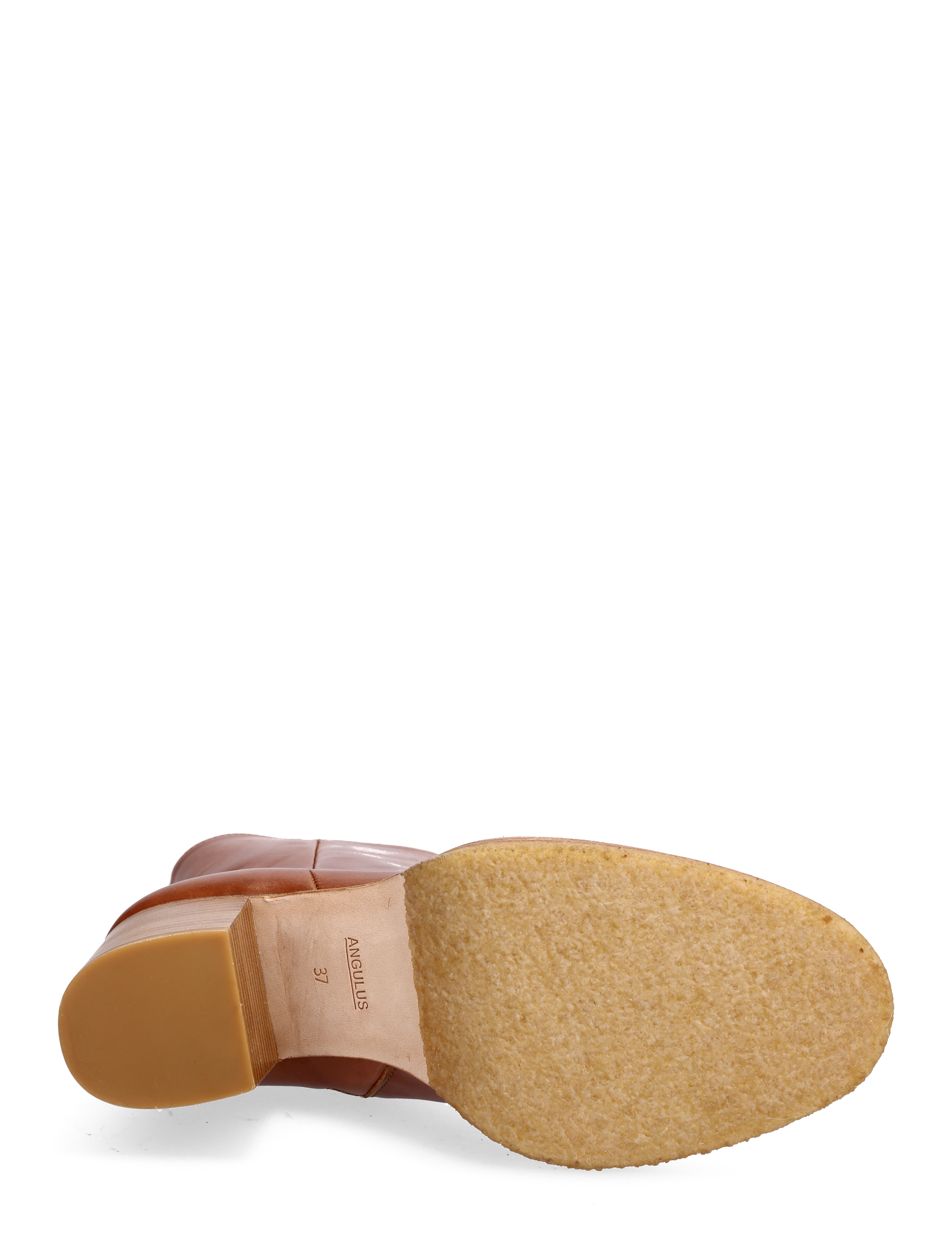 ANGULUS - Bootie - block heel - with zippe - heeled ankle boots - 1838/036 cognac/cognac - 5