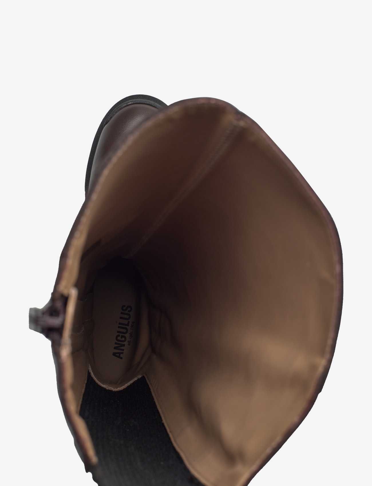ANGULUS - Boots - flat - langskaftede støvler - 2962/019 brown/black - 3