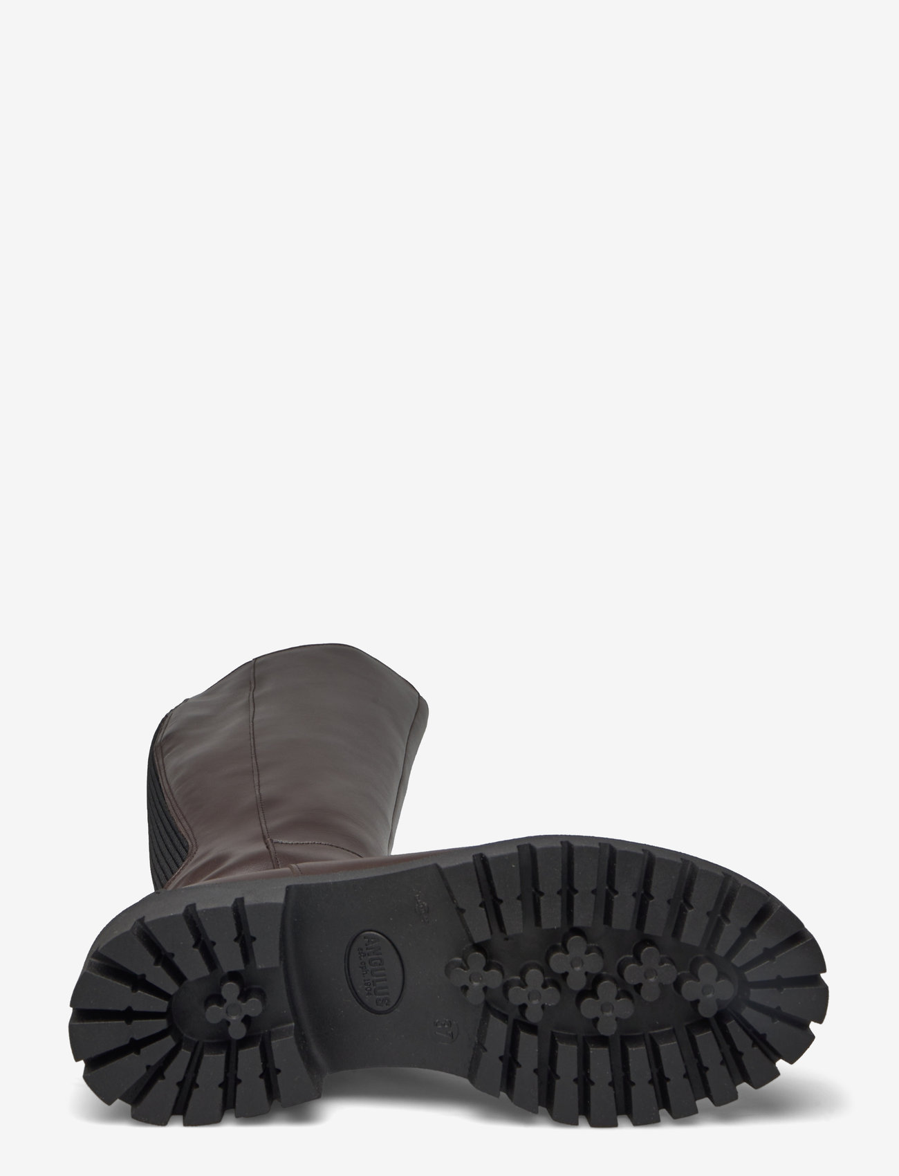 ANGULUS - Boots - flat - langskaftede støvler - 2962/019 brown/black - 4