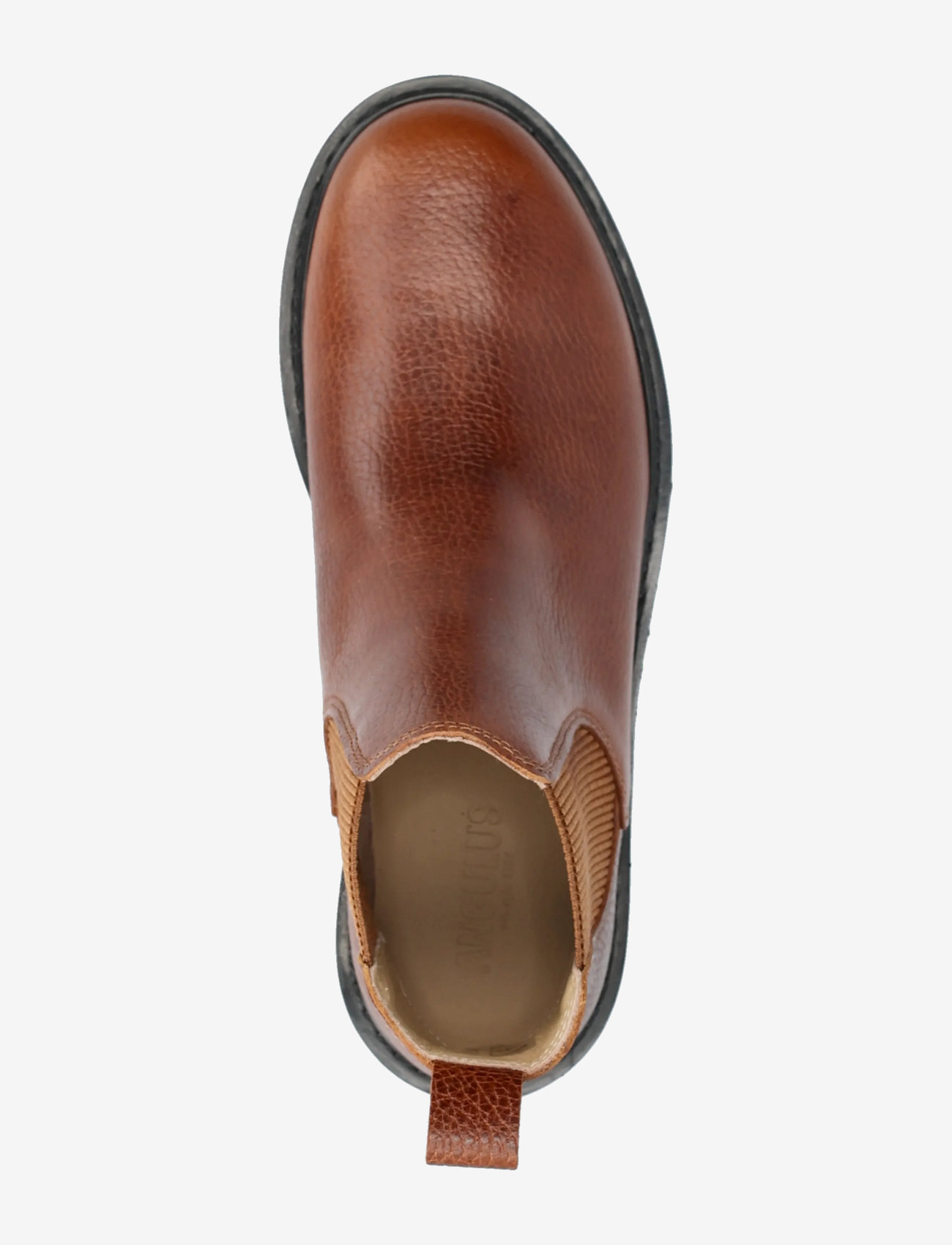 ANGULUS - Booties - flat - with elastic - stövlar - 2509/040 medium brown/ cognac - 3